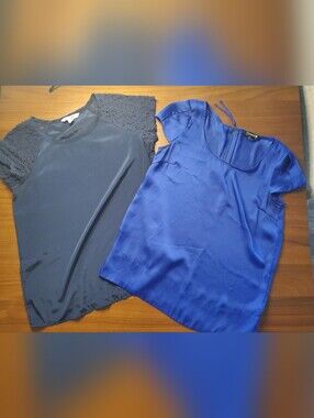 Blue Satin Short-Sleeve Dress by